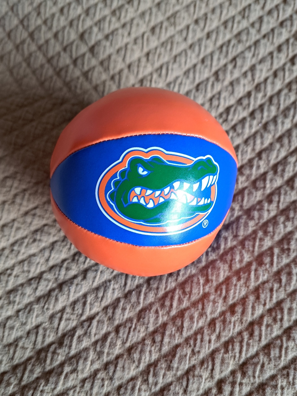 Florida Gators Orange & Blue Mini Basketball